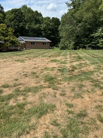 Gallery photos for Season-Ready Lawn with Professional Fall Services: Image #2