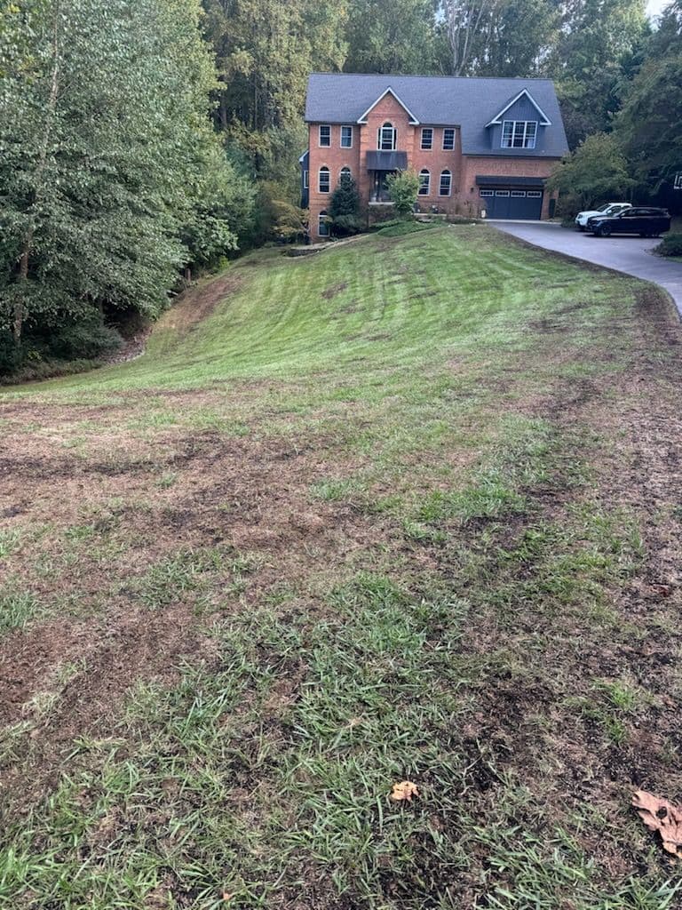 Lawn Restoration Success with Tall Pines Landscaping image