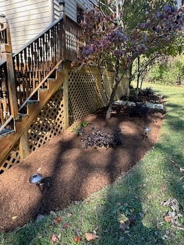 Gallery photos for Garden Makeover in St Leonard: Image #2