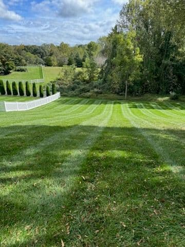 Project Immaculate Striped Lawns by Tall Pines Landscaping image