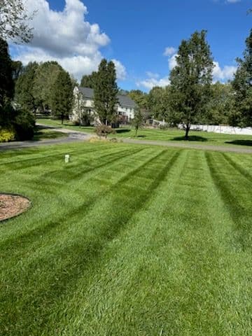 Gallery photos for Immaculate Striped Lawns by Tall Pines Landscaping: Image #1