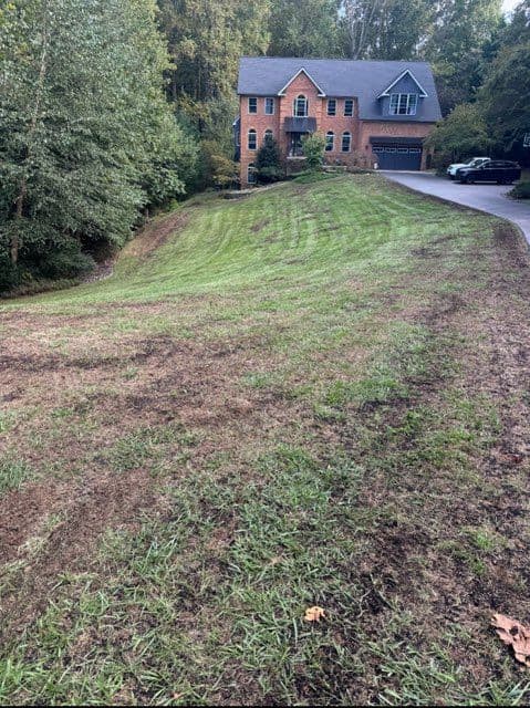 From Patchy to Lush - Lawn Revitalization Success image