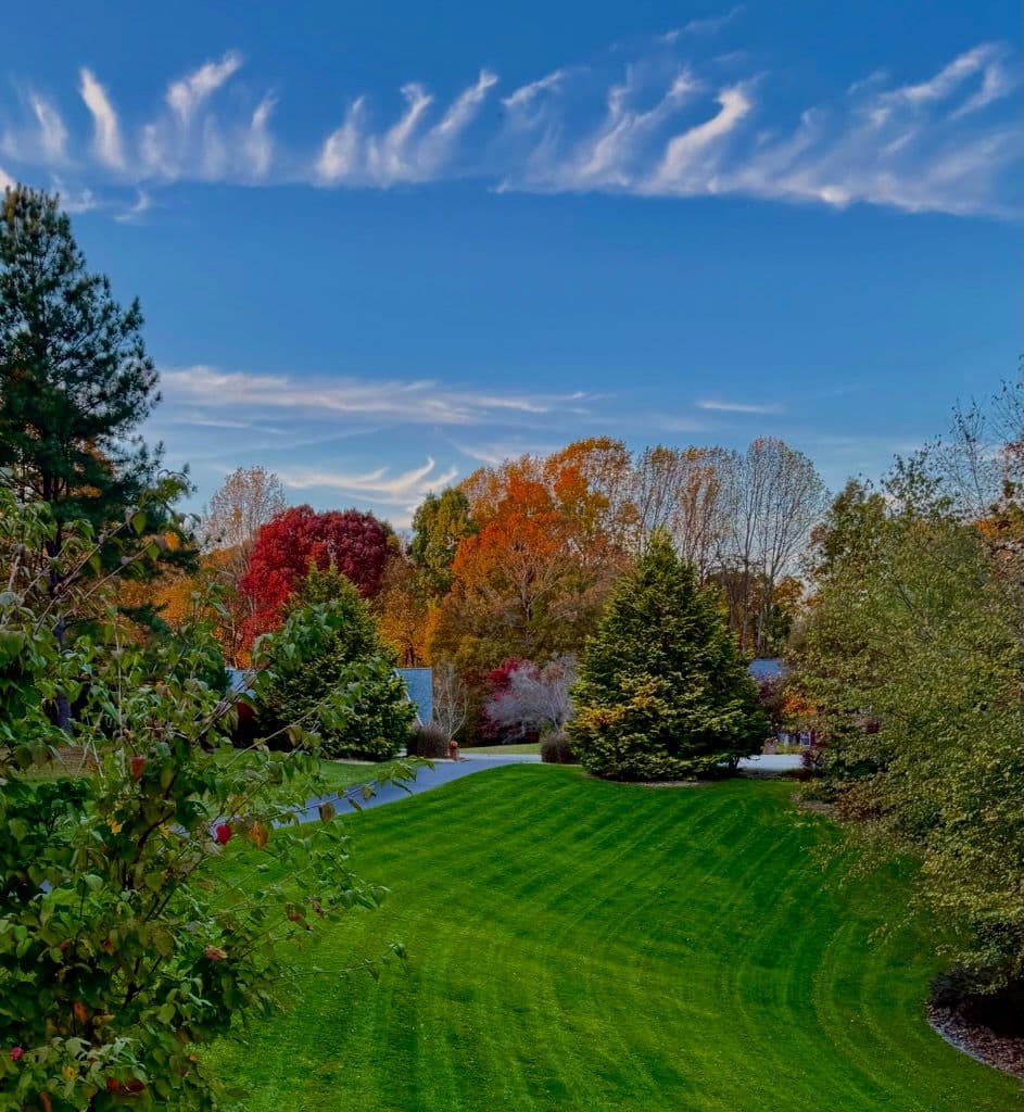 Gallery photos for From Patchy to Lush - Lawn Revitalization Success: Image #1