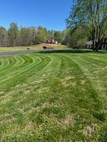 First Cuts of the Season Are Looking Sharp image