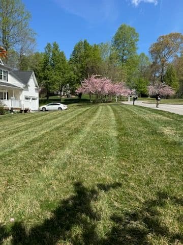 Gallery photos for First Cuts of the Season Are Looking Sharp: Image #1