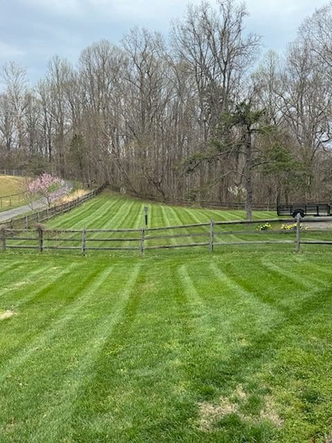 Gallery photos for First Cuts of the Season Are Looking Sharp: Image #2