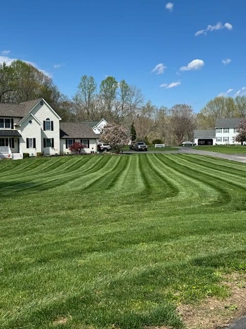 Gallery photos for First Cuts of the Season Are Looking Sharp: Image #3