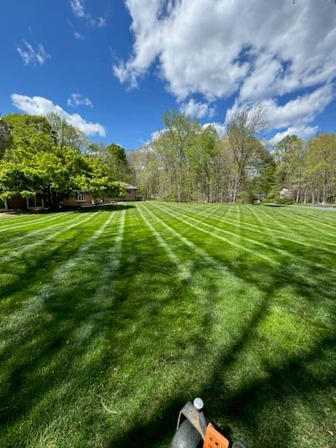 Project Lawn Stripes Showcase image