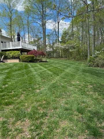 Gallery photos for Lawn Stripes Showcase: Image #1