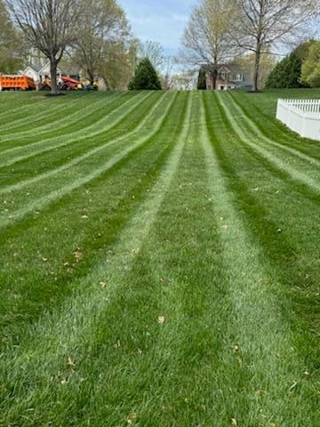 Gallery photos for Lawn Stripes Showcase: Image #2