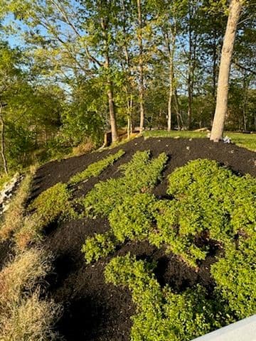 Gallery photos for Transformative Waterfront Landscaping in Huntingtown: Image #2