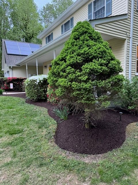 Transform Your Yard with Our Mulch Magic