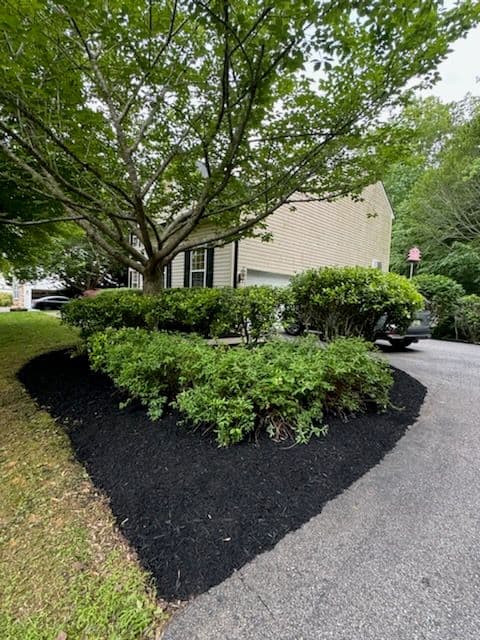 Gallery photos for Landscape Transformation in Huntingtown: Image #2