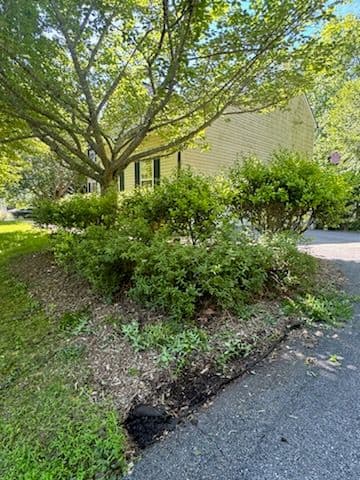 Gallery photos for Landscape Transformation in Huntingtown: Image #3