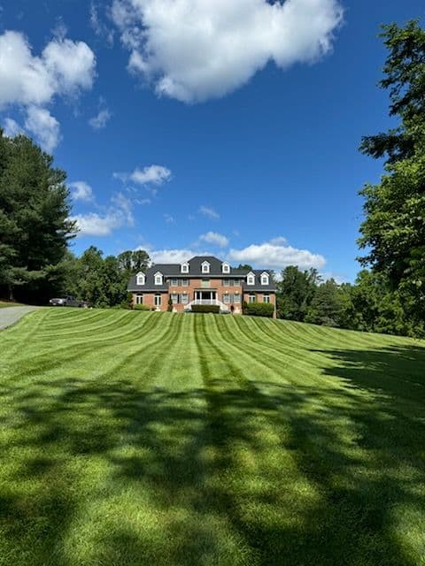 Stunning Lawn Transformations in Owings MD