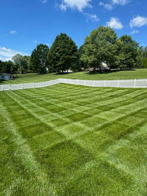 Gallery photos for Stunning Lawn Transformations in Owings MD: Image #1