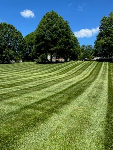 Gallery photos for Stunning Lawn Transformations in Owings MD: Image #2