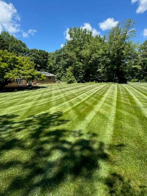 Gallery photos for Stunning Lawn Transformations in Owings MD: Image #3