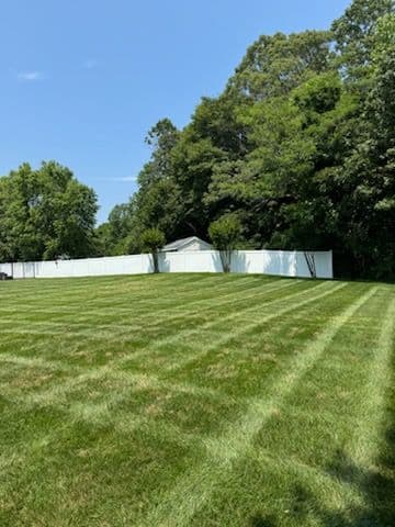 Gallery photos for Vibrant Lawn Transformations with Tall Pines: Image #1