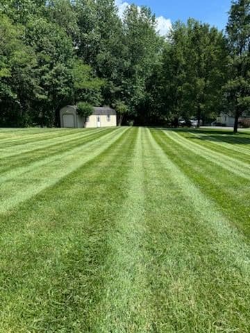 Gallery photos for Vibrant Lawn Transformations with Tall Pines: Image #2