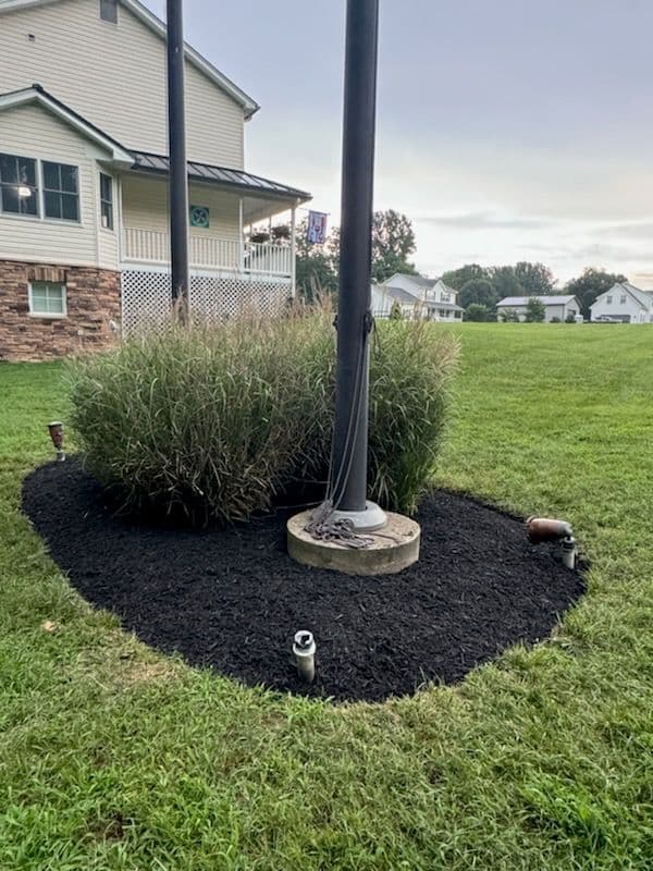 Transform Your Yard with Our Mulch Expertise image