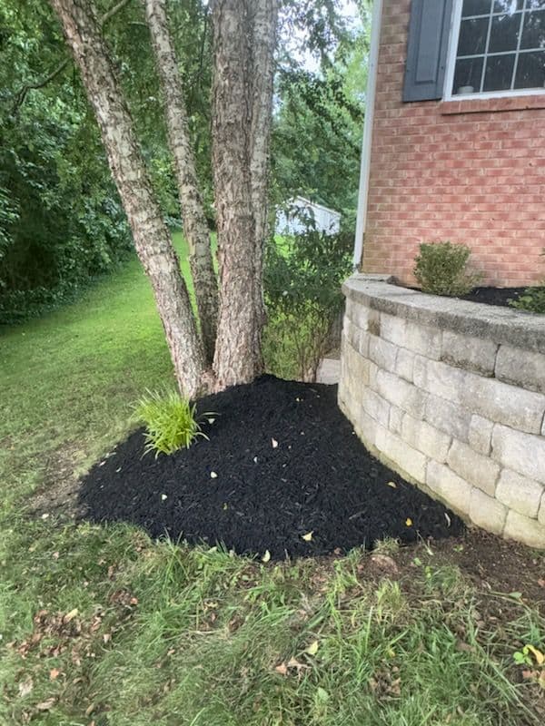 Gallery photos for Transform Your Yard with Our Mulch Expertise: Image #1