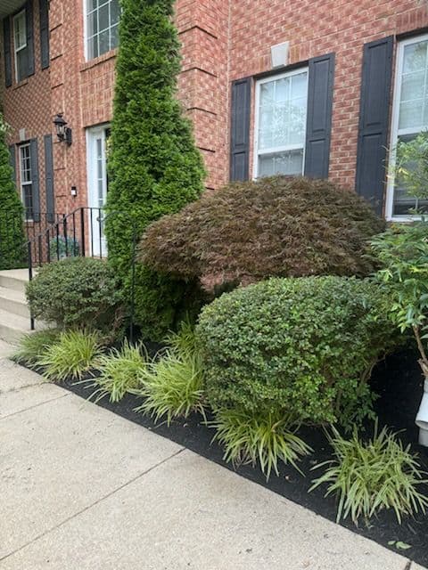 Gallery photos for Transform Your Yard with Our Mulch Expertise: Image #2