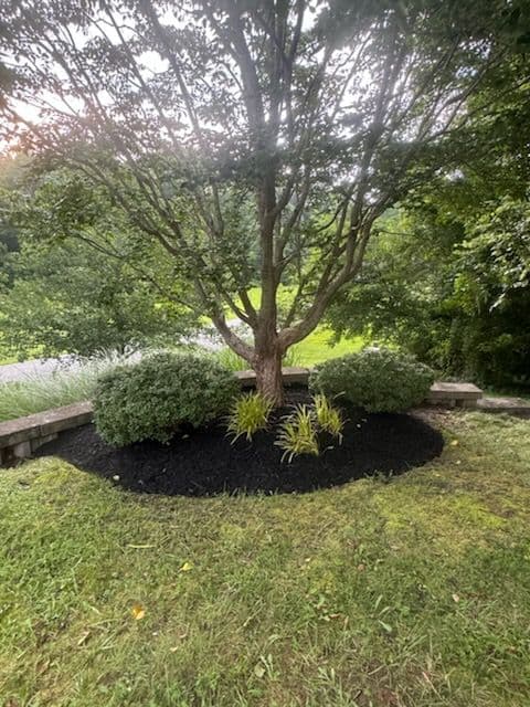 Gallery photos for Transform Your Yard with Our Mulch Expertise: Image #3