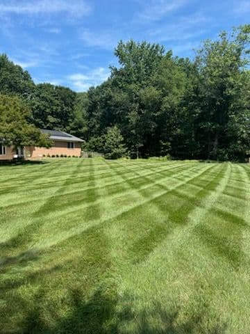 Transform Your Lawn with Our Expert Care image