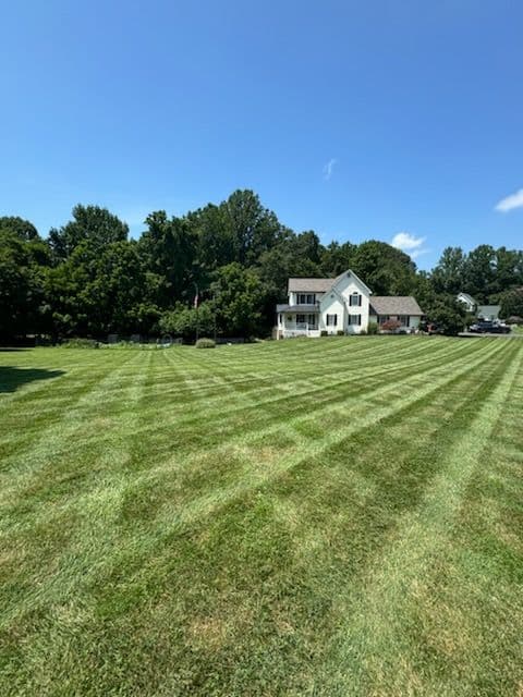 Gallery photos for Transform Your Lawn with Our Expert Care: Image #1