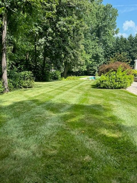 Gallery photos for Transform Your Lawn with Our Expert Care: Image #2