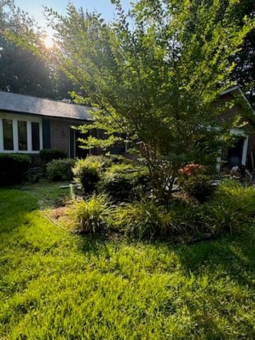 Gallery photos for Transform Your Garden with Dyed Mulch and River Rock: Image #3