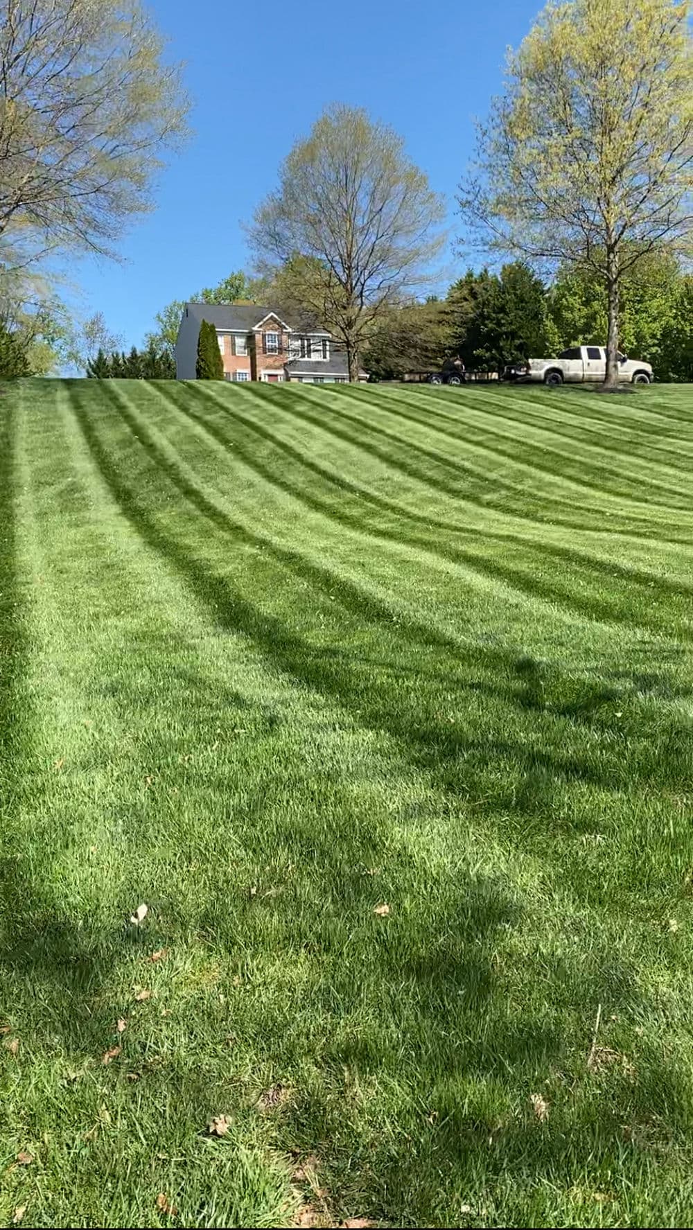 Lush, striped green lawn leading to a residential home and parked vehicles.