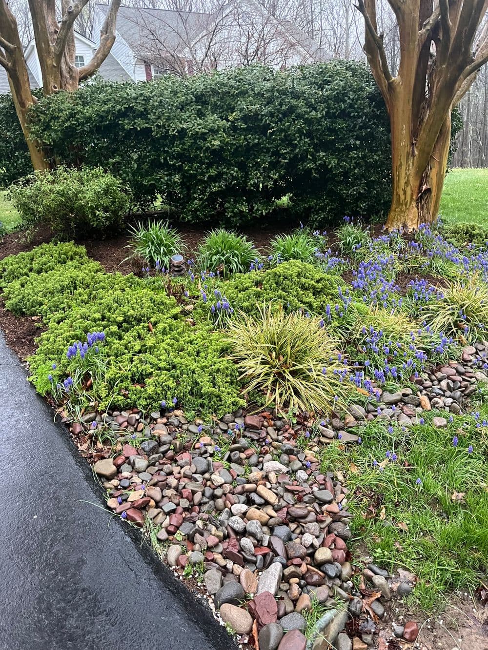 Lush garden with flowering plants, stones, and shrubs beside a driveway.