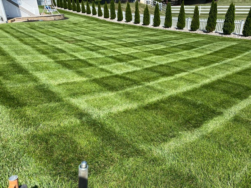 Well-manicured lawn with patterned grass stripes and neatly trimmed hedges.