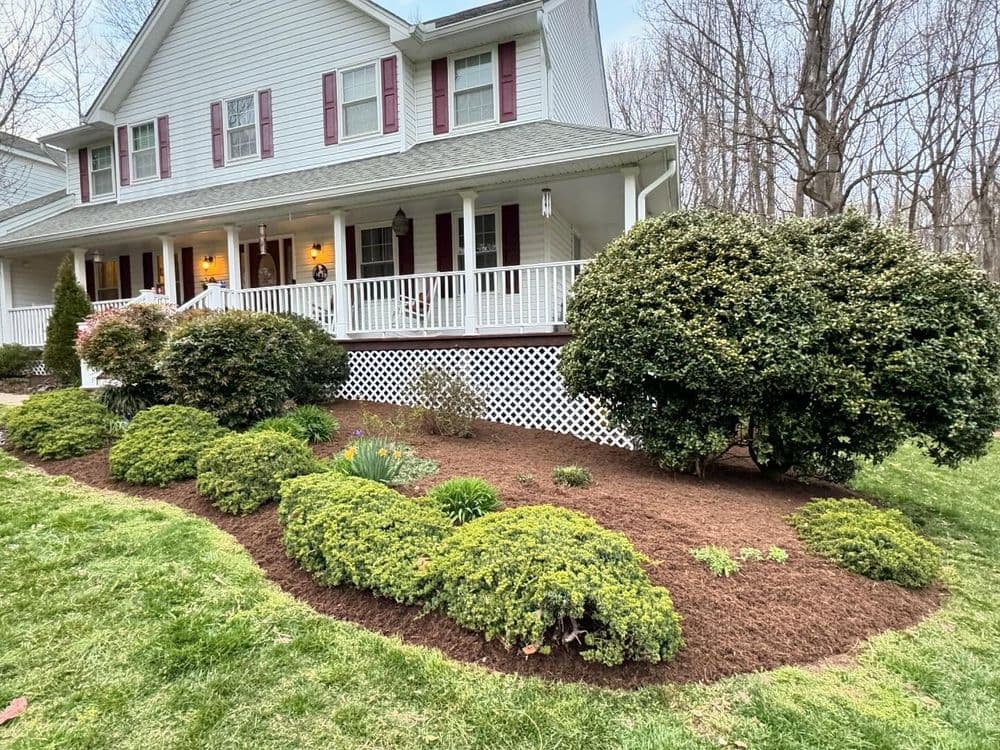 Charming white house with a front porch and landscaped garden featuring shrubs and mulch.