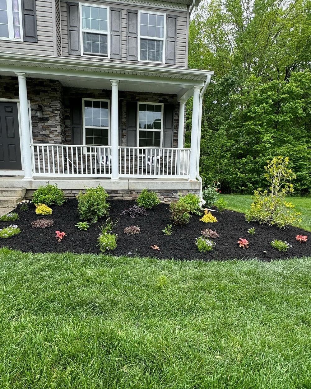 Front yard flower bed with colorful plants and fresh mulch near a two-story house.