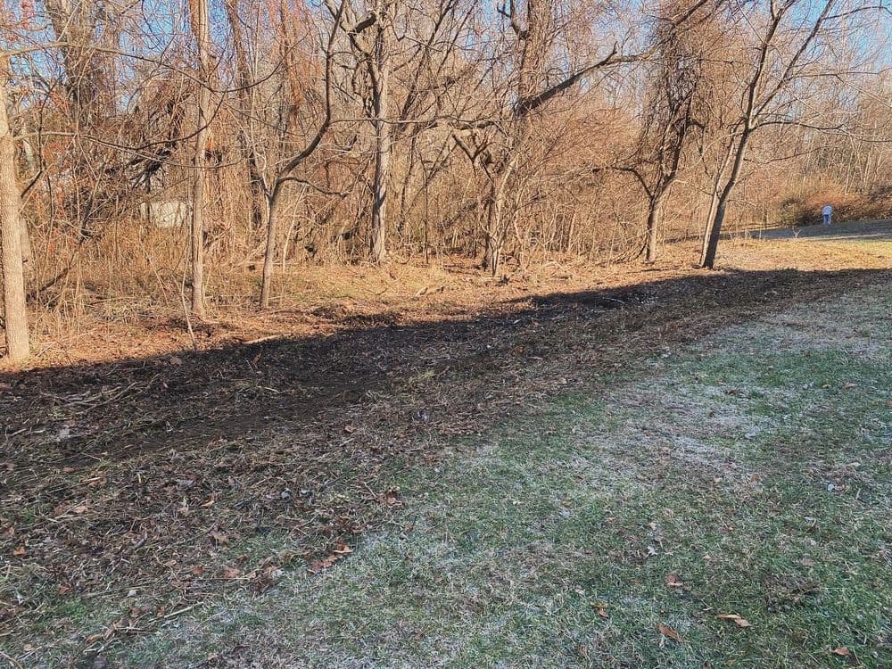Cleared area with exposed soil and blackened earth near a wooded area in winter.