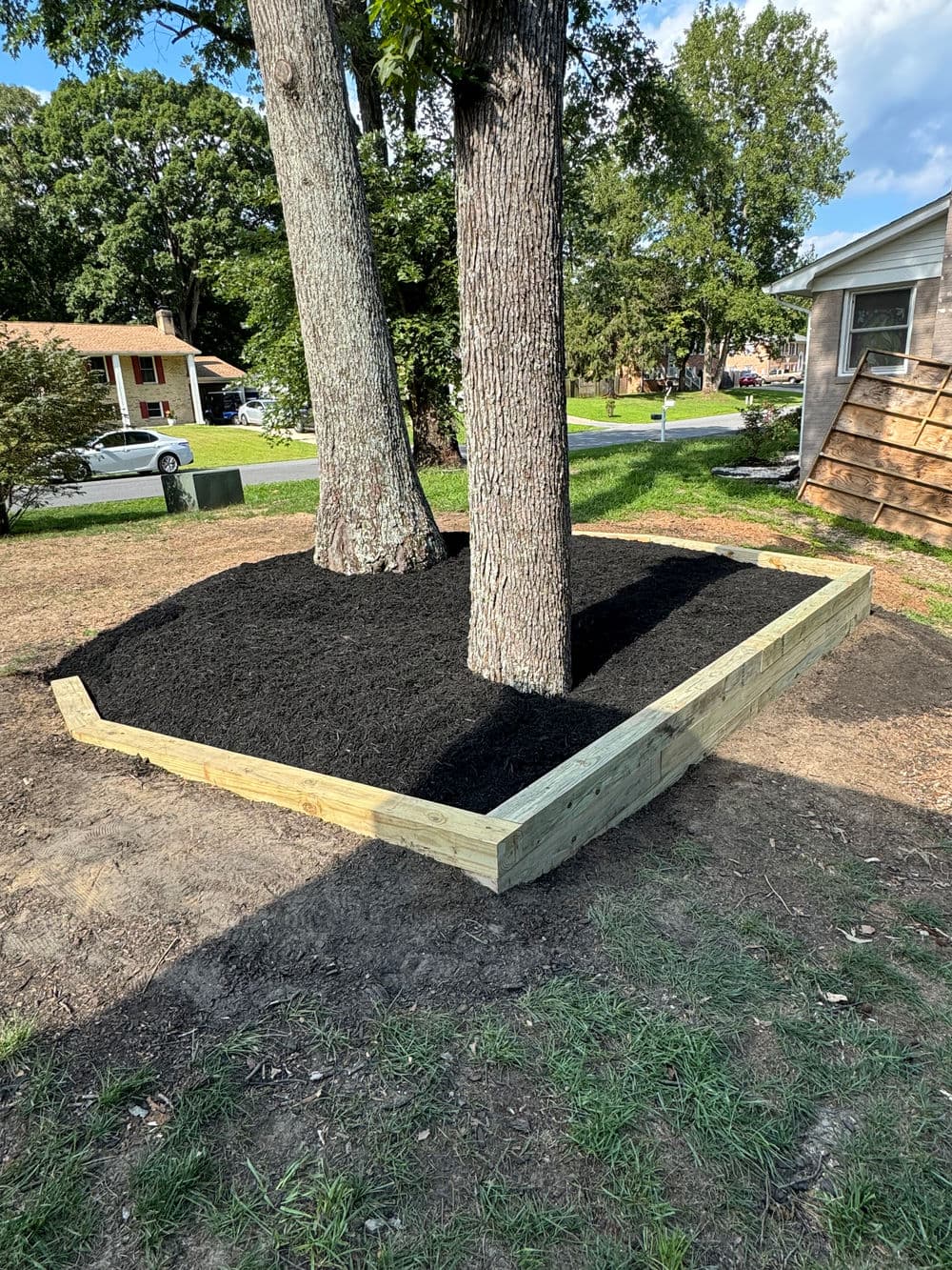 Mulched flower bed around two trees with wooden borders in residential yard.