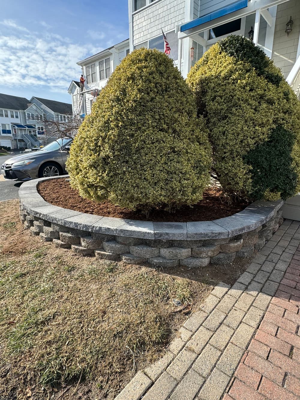 Trimmed shrubs on a stone wall landscaping with grass and bricks in a residential area.