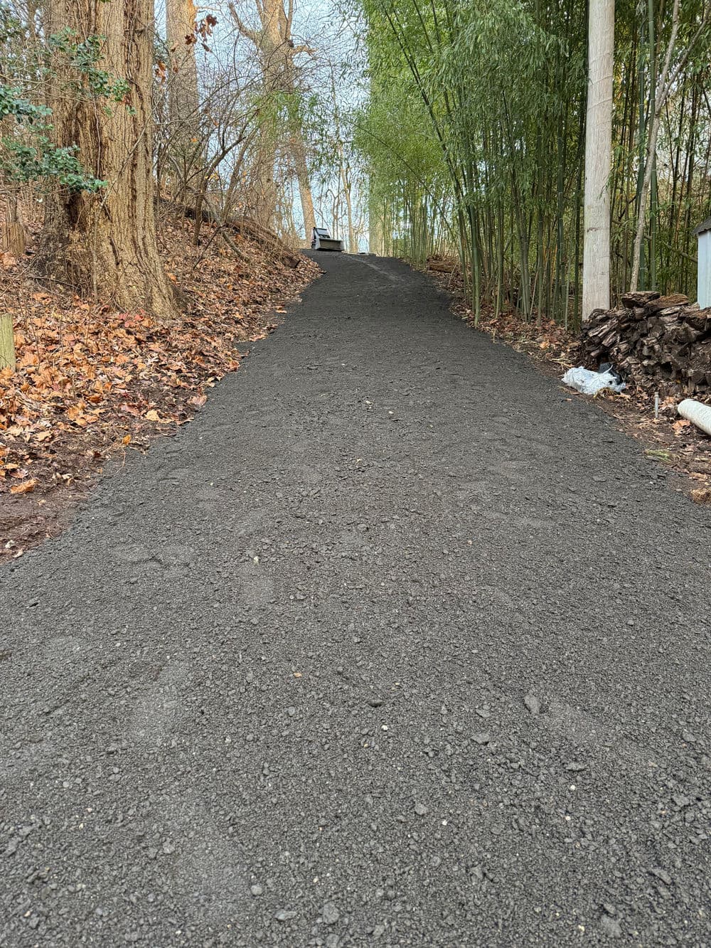 Gravel path leading uphill through wooded area with bamboo and autumn leaves.