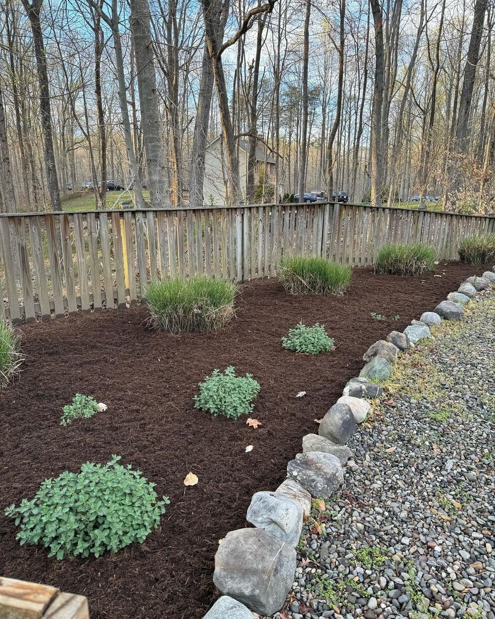 Mulched garden area with plants and stone border in a wooded setting.