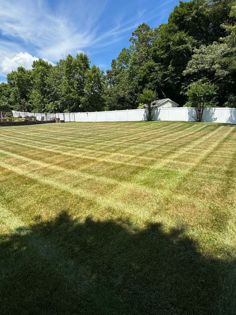 Lush green lawn with distinct mowing stripes and clear blue sky, surrounded by trees.