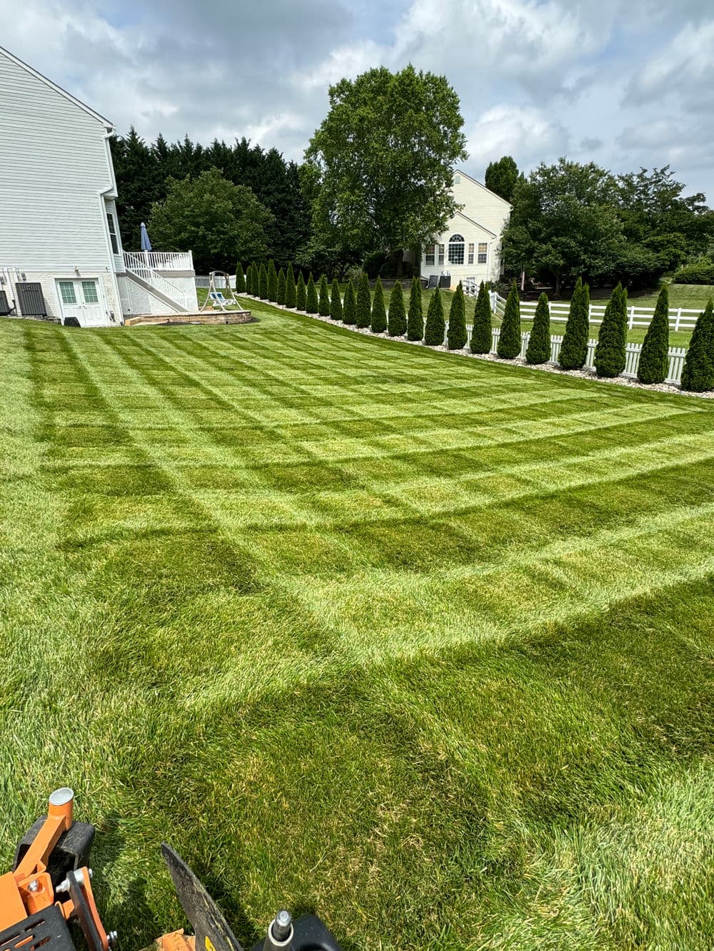 Well-manicured lawn with striped patterns and trimmed hedges near a house.