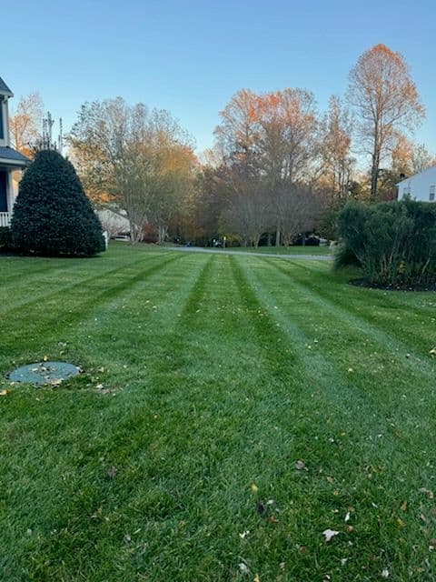 Season's Final Lawn Care with Tall Pines Landscaping image
