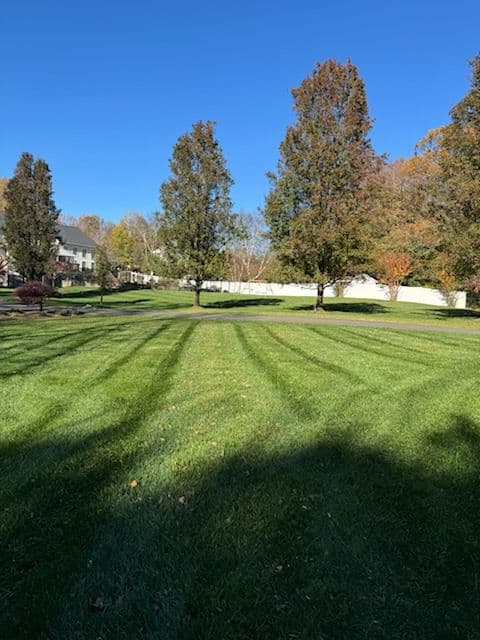Gallery photos for Season's Final Lawn Care with Tall Pines Landscaping: Image #1