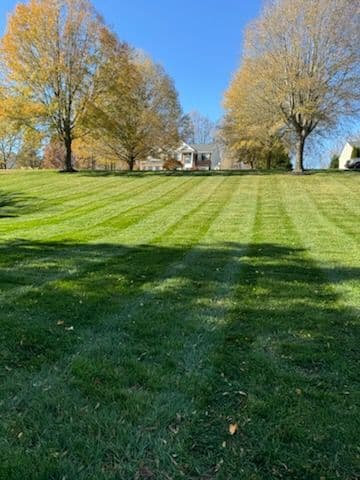 Gallery photos for Season's Final Lawn Care with Tall Pines Landscaping: Image #3
