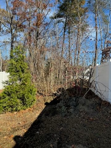 Gallery photos for Land Clearing in Prince Frederick Preparing for Spring Blossoms: Image #2